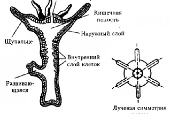 Доступ к сайту кракен