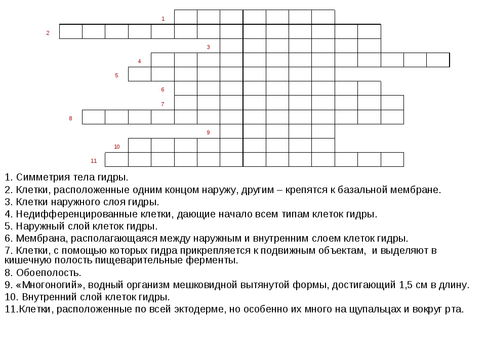 Прямая ссылка на кракен