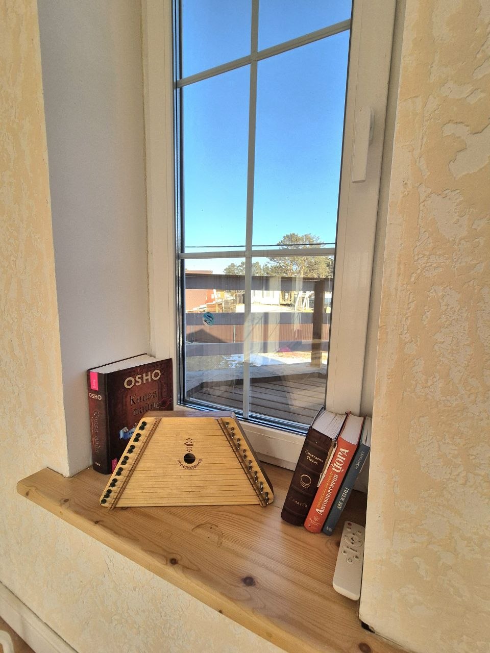 Зал — подоконник с книгами и гуслями